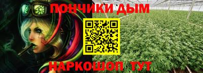 молекула духа Кингисепп