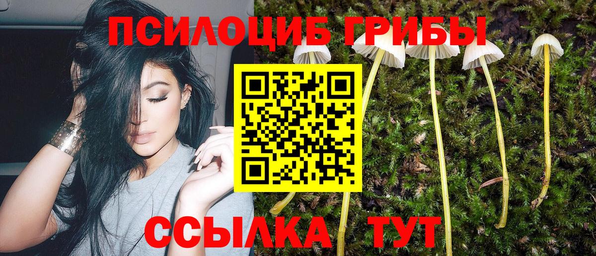 Галлюциногенные грибы ЛСД  Вход с VPN  Ефремов 